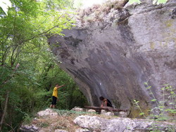 Krancici